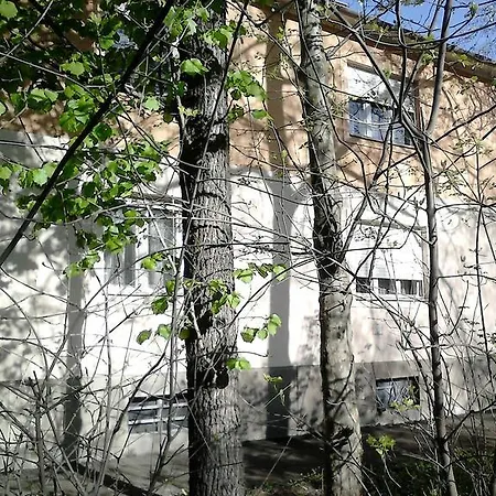 Belvarosi Vendeghaz * Miskolc