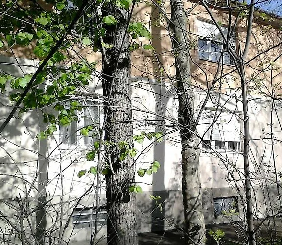 Belvarosi Vendeghaz * Miskolc